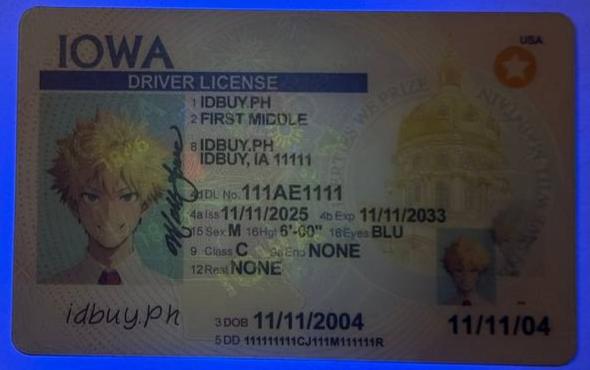 Card IA 2