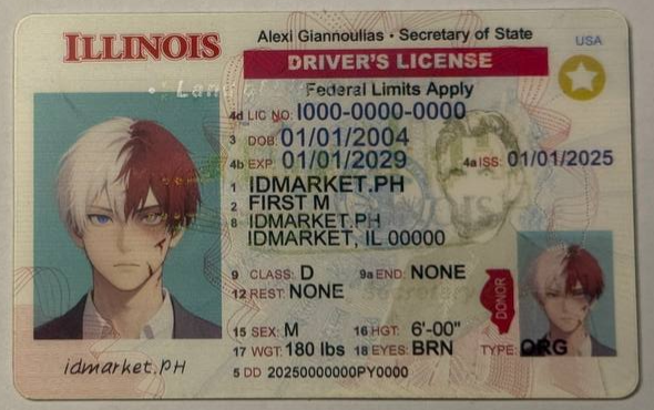 Card IL 1