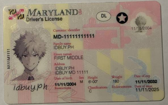 Card MD 1