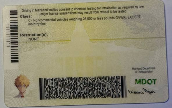 Card MD 3