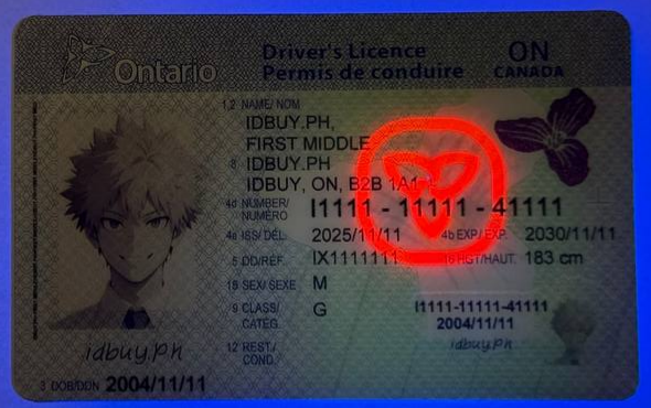 Card ON 2