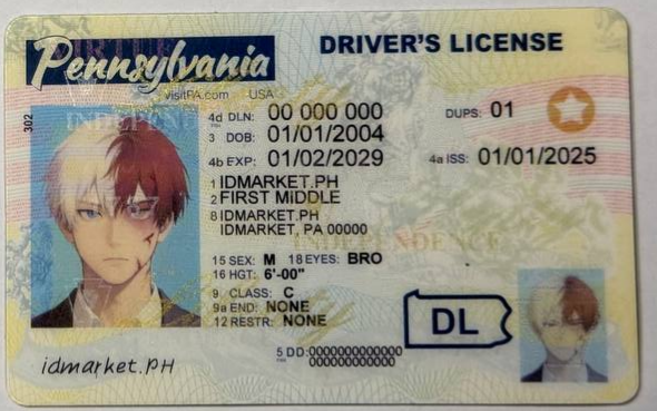Card PA 1