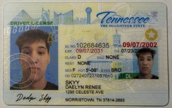 Card TN 1