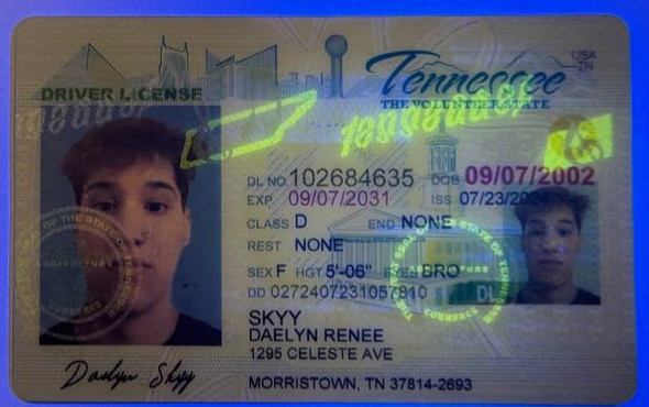 Card TN 2